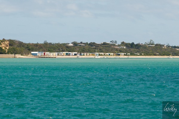 AustraliaEast 10  119